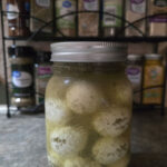 Katie-The-Quail-Lady - pickled eggs