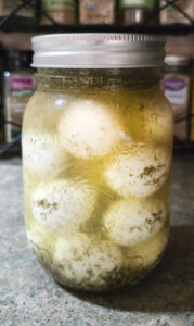 Katie the Quail Lady - Dill Pickled Eggs