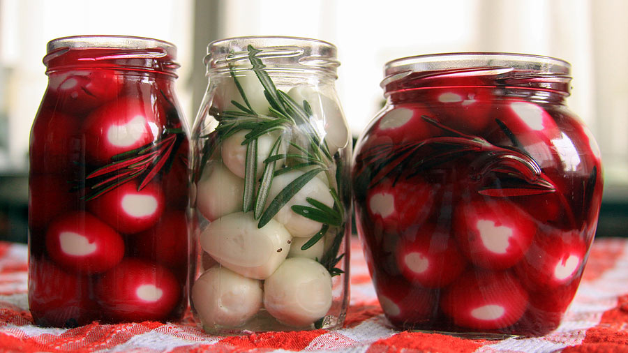 Katie the Quail Lady - Pickled Eggs