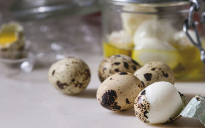 Boiling & Peeling Quail Eggs